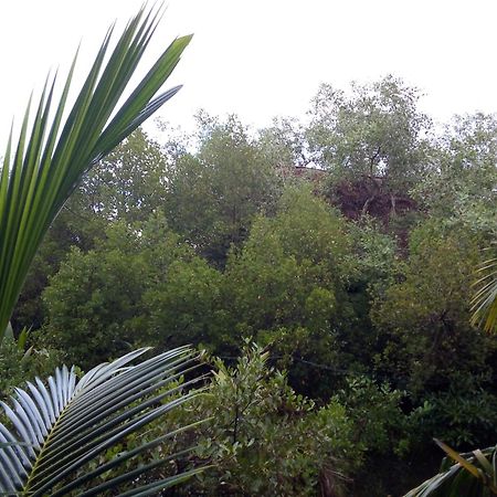 Mermaid Cabana And Tree Houses Tangalle Exterior photo