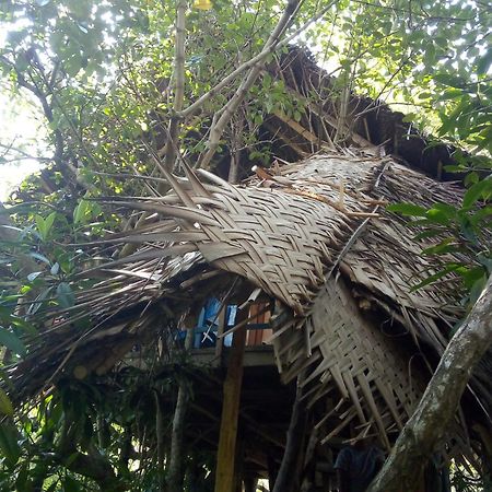 Mermaid Cabana And Tree Houses Tangalle Exterior photo