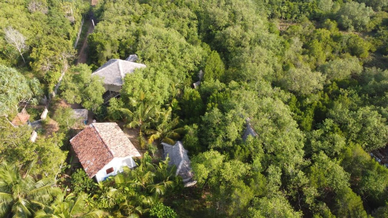 Mermaid Cabana And Tree Houses Tangalle Exterior photo
