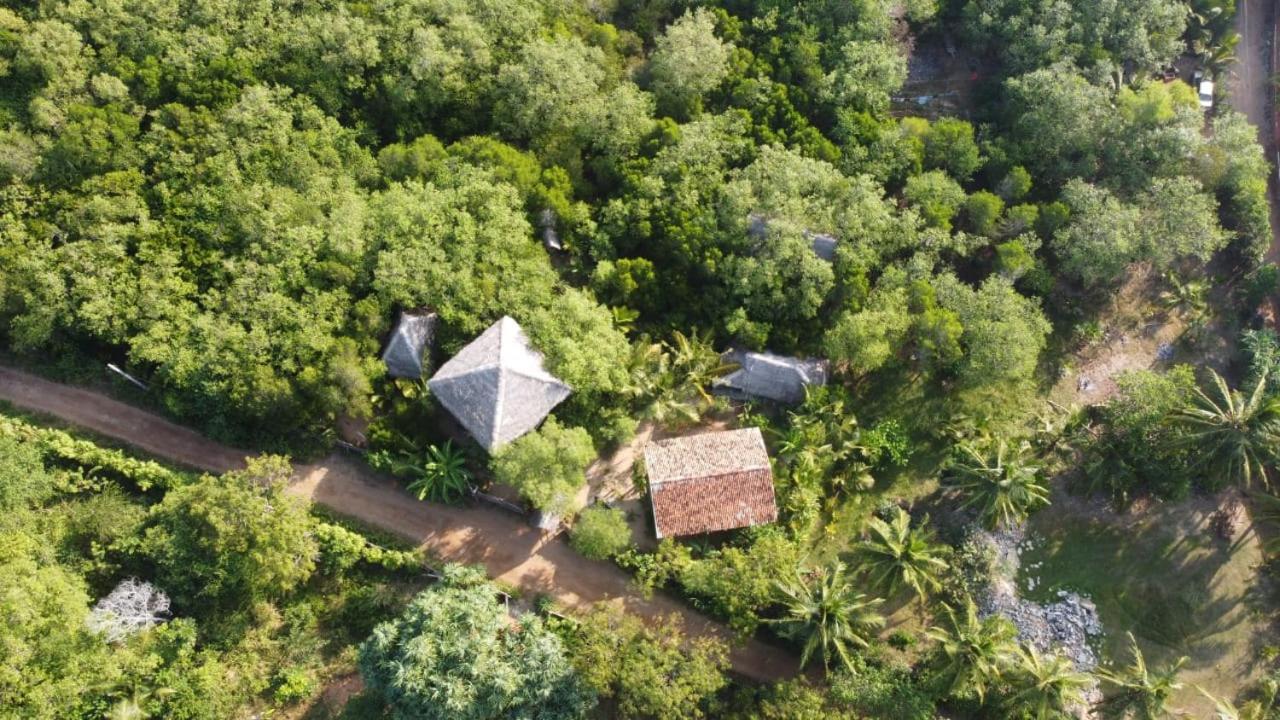 Mermaid Cabana And Tree Houses Tangalle Room photo