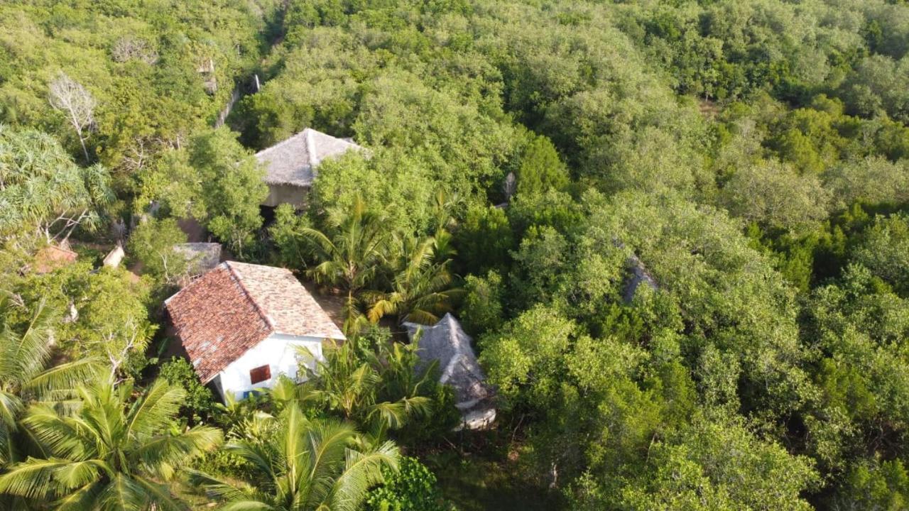 Mermaid Cabana And Tree Houses Tangalle Room photo