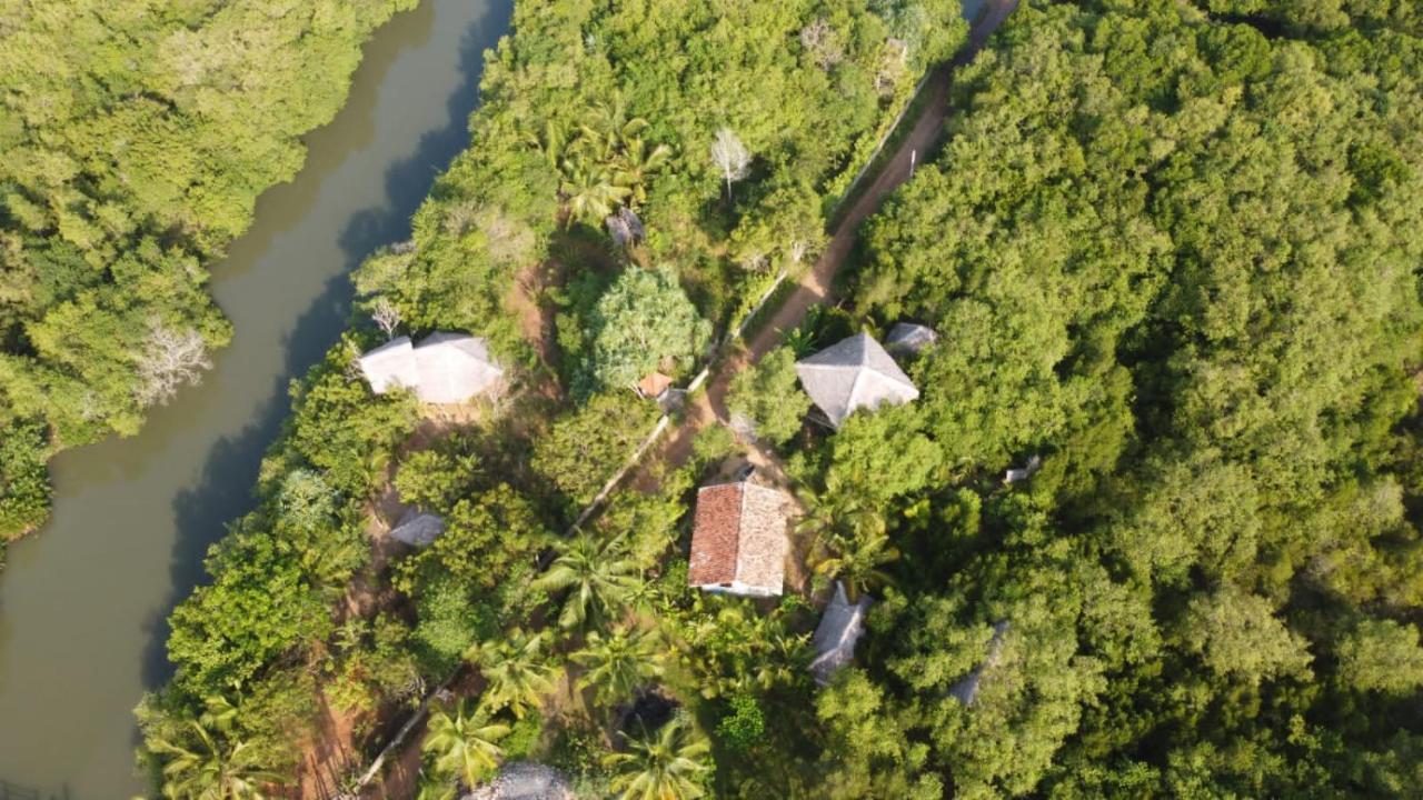 Mermaid Cabana And Tree Houses Tangalle Room photo