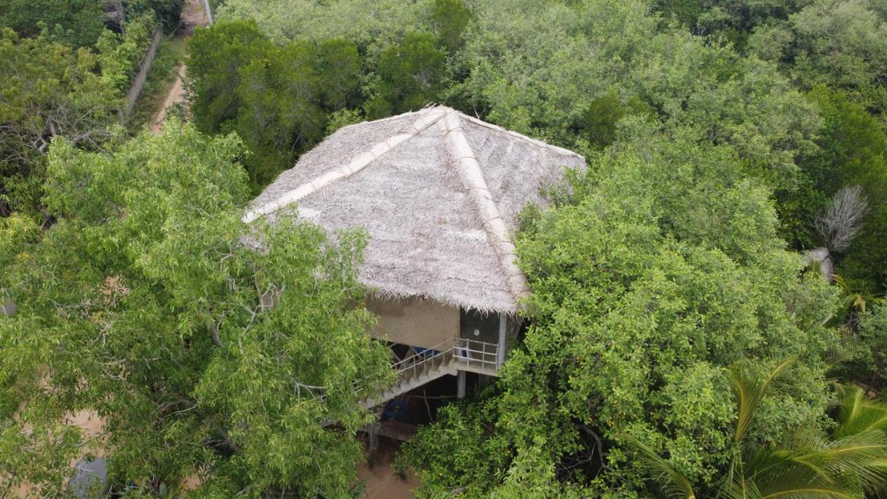 Mermaid Cabana And Tree Houses Tangalle Exterior photo
