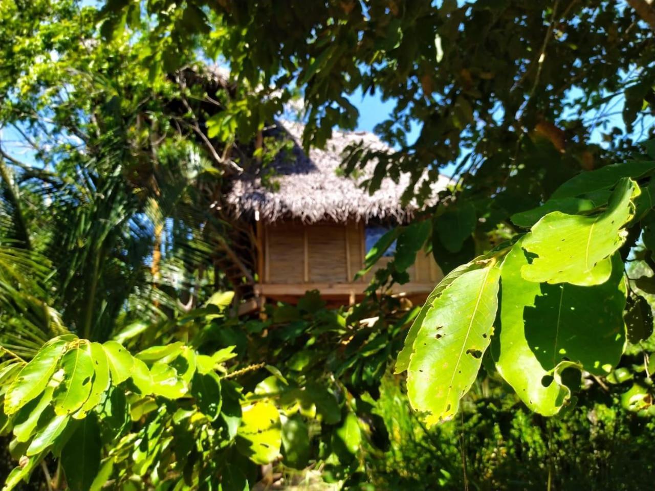Mermaid Cabana And Tree Houses Tangalle Room photo