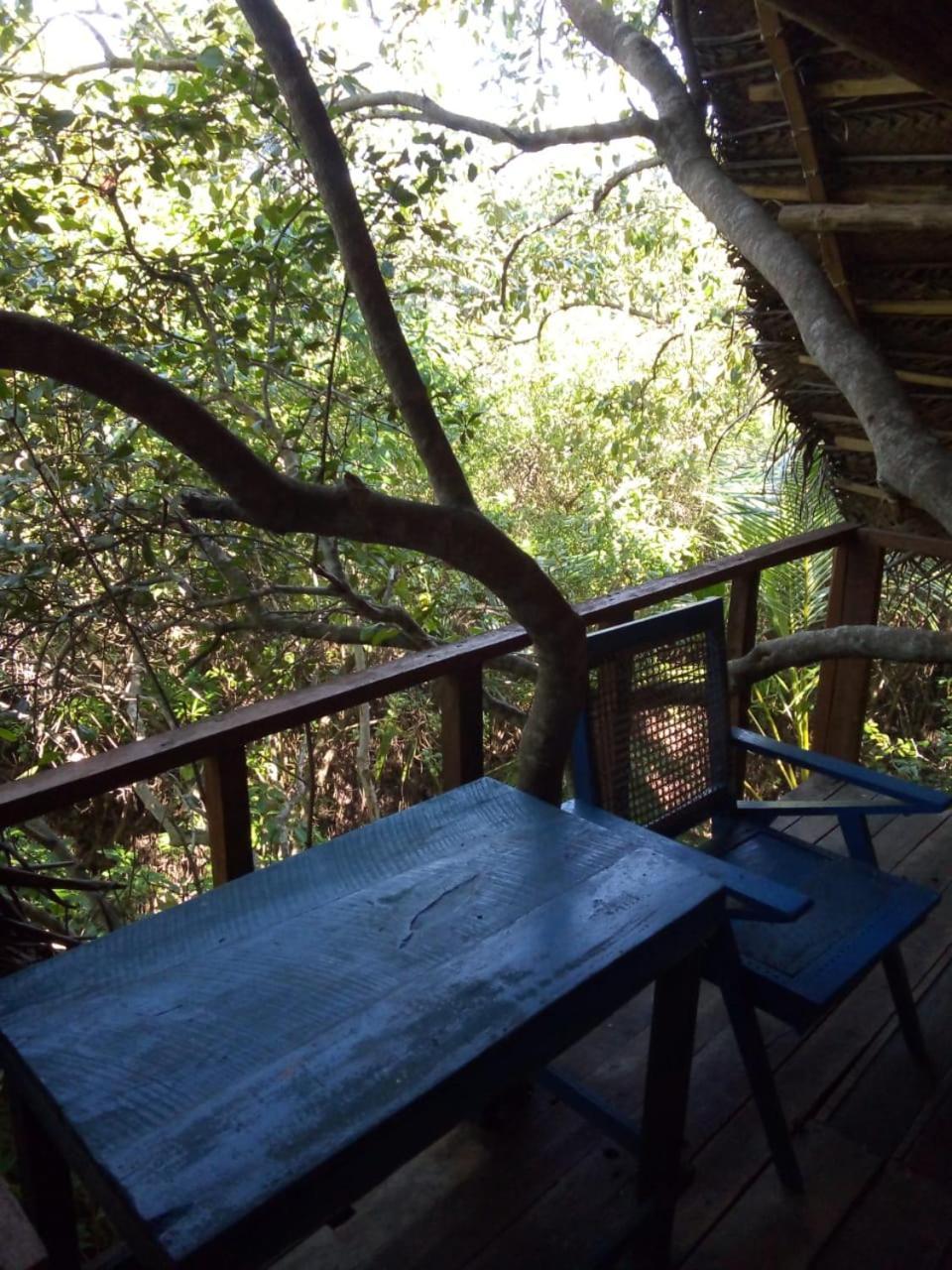 Mermaid Cabana And Tree Houses Tangalle Room photo