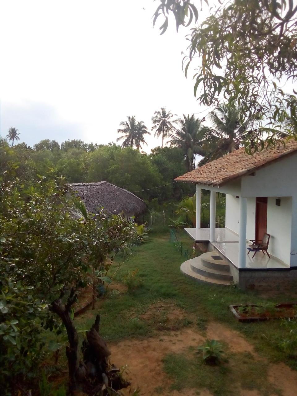 Mermaid Cabana And Tree Houses Tangalle Exterior photo