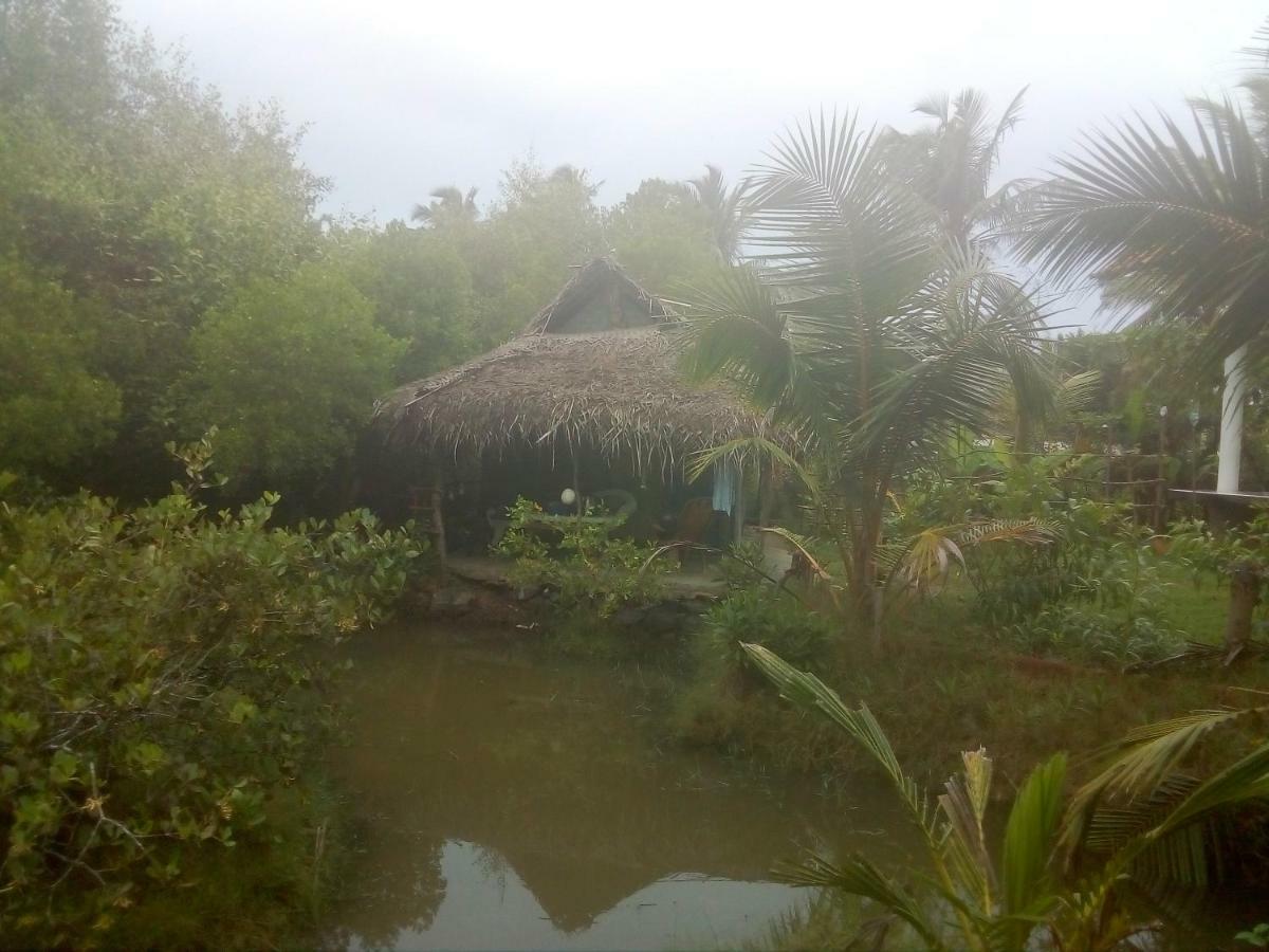 Mermaid Cabana And Tree Houses Tangalle Exterior photo
