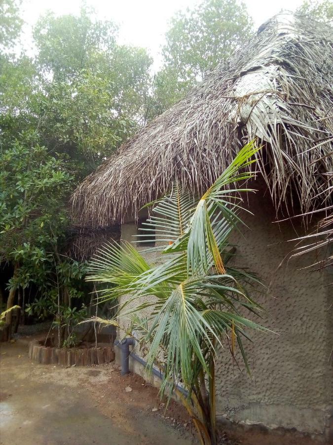 Mermaid Cabana And Tree Houses Tangalle Exterior photo