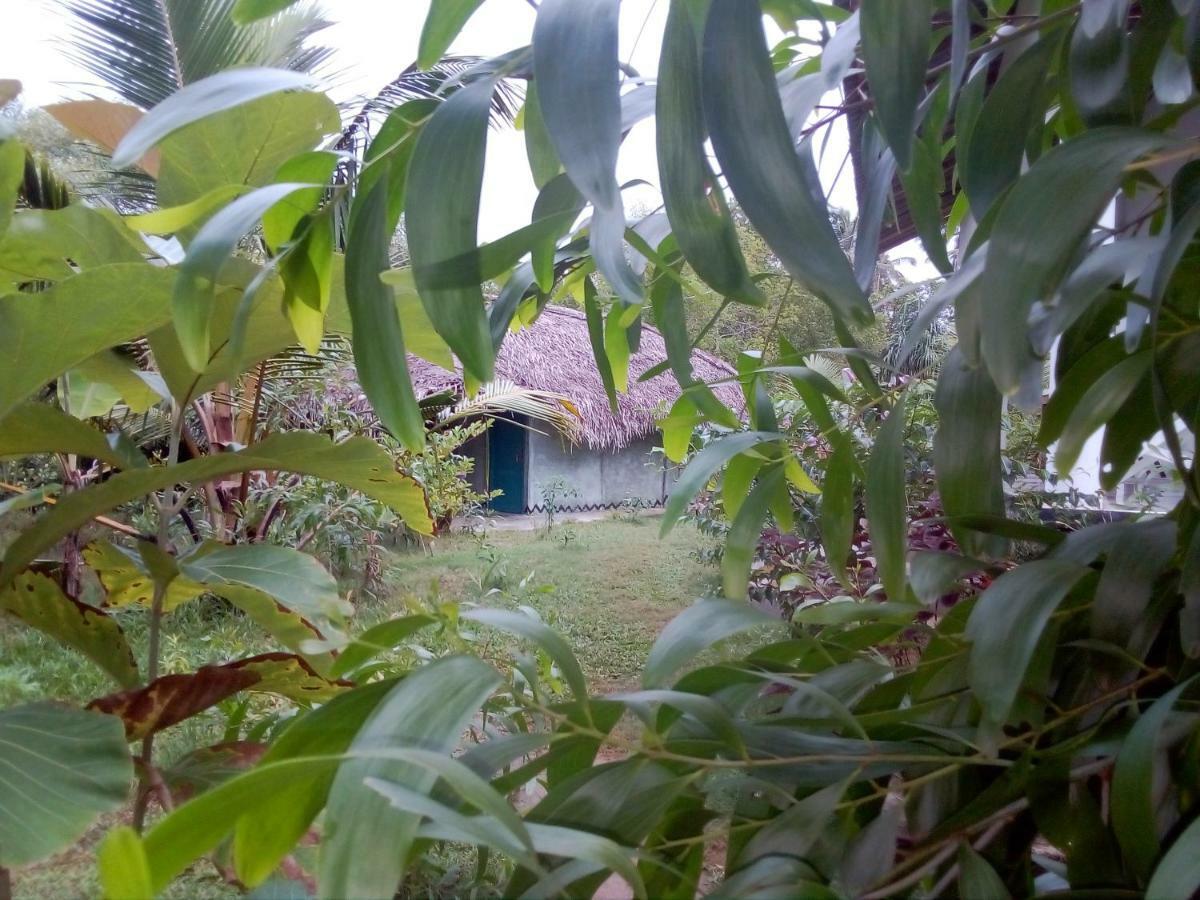 Mermaid Cabana And Tree Houses Tangalle Exterior photo