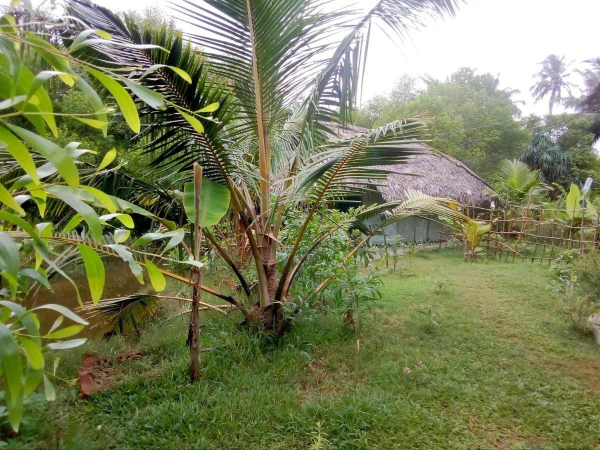 Mermaid Cabana And Tree Houses Tangalle Exterior photo