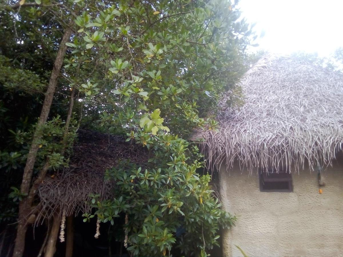 Mermaid Cabana And Tree Houses Tangalle Exterior photo