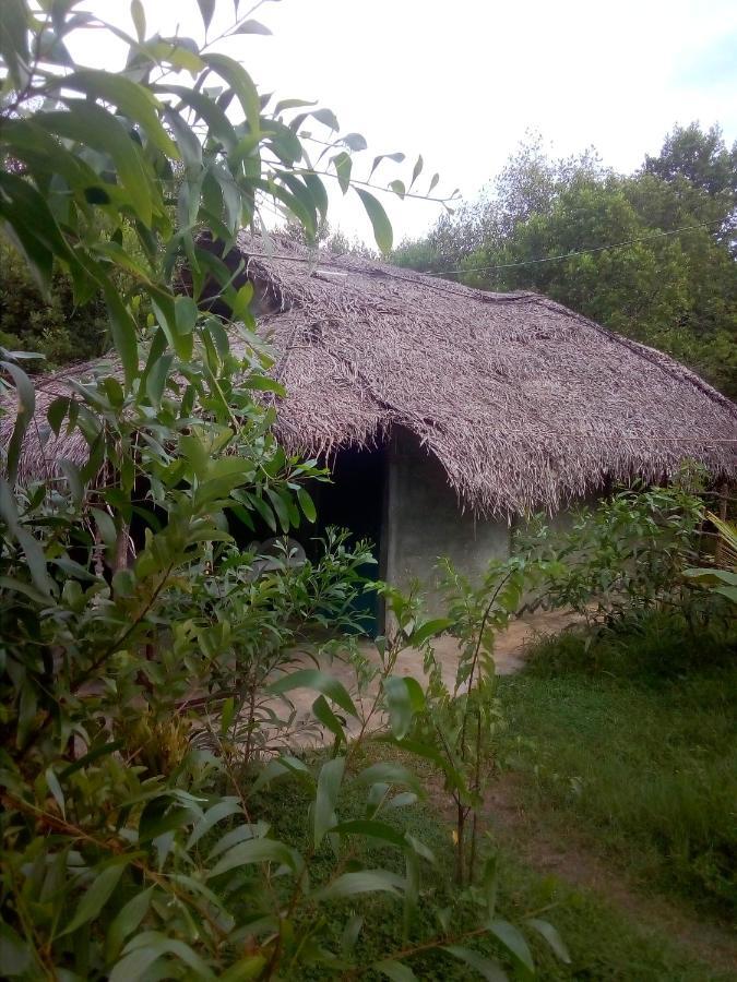 Mermaid Cabana And Tree Houses Tangalle Exterior photo