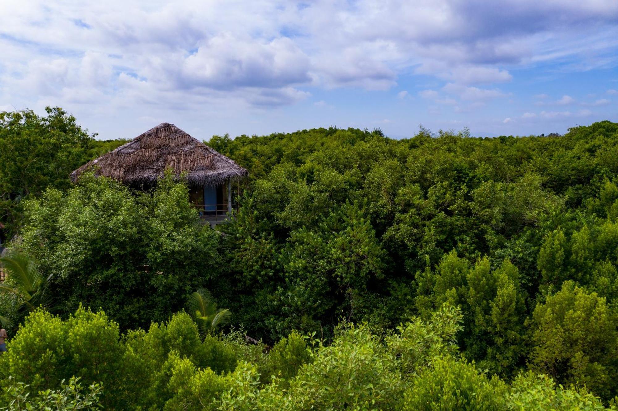 Mermaid Cabana And Tree Houses Tangalle Exterior photo