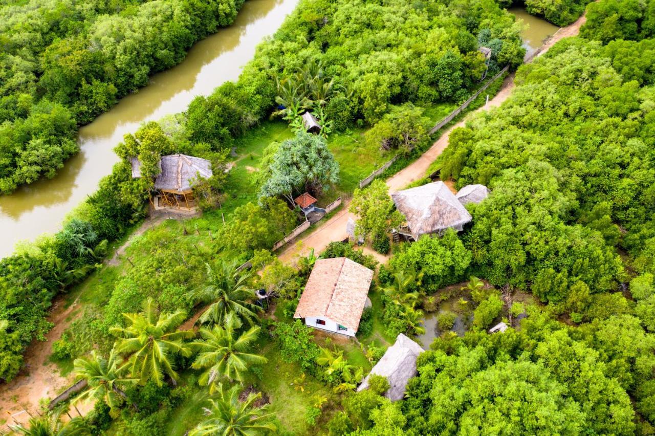 Mermaid Cabana And Tree Houses Tangalle Exterior photo