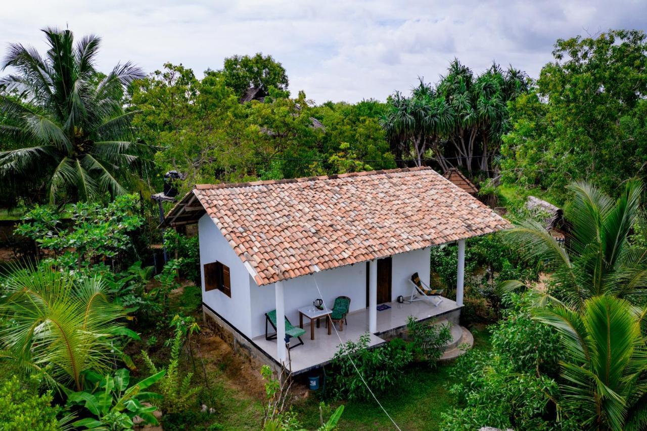 Mermaid Cabana And Tree Houses Tangalle Exterior photo