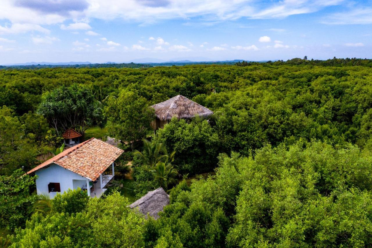 Mermaid Cabana And Tree Houses Tangalle Exterior photo
