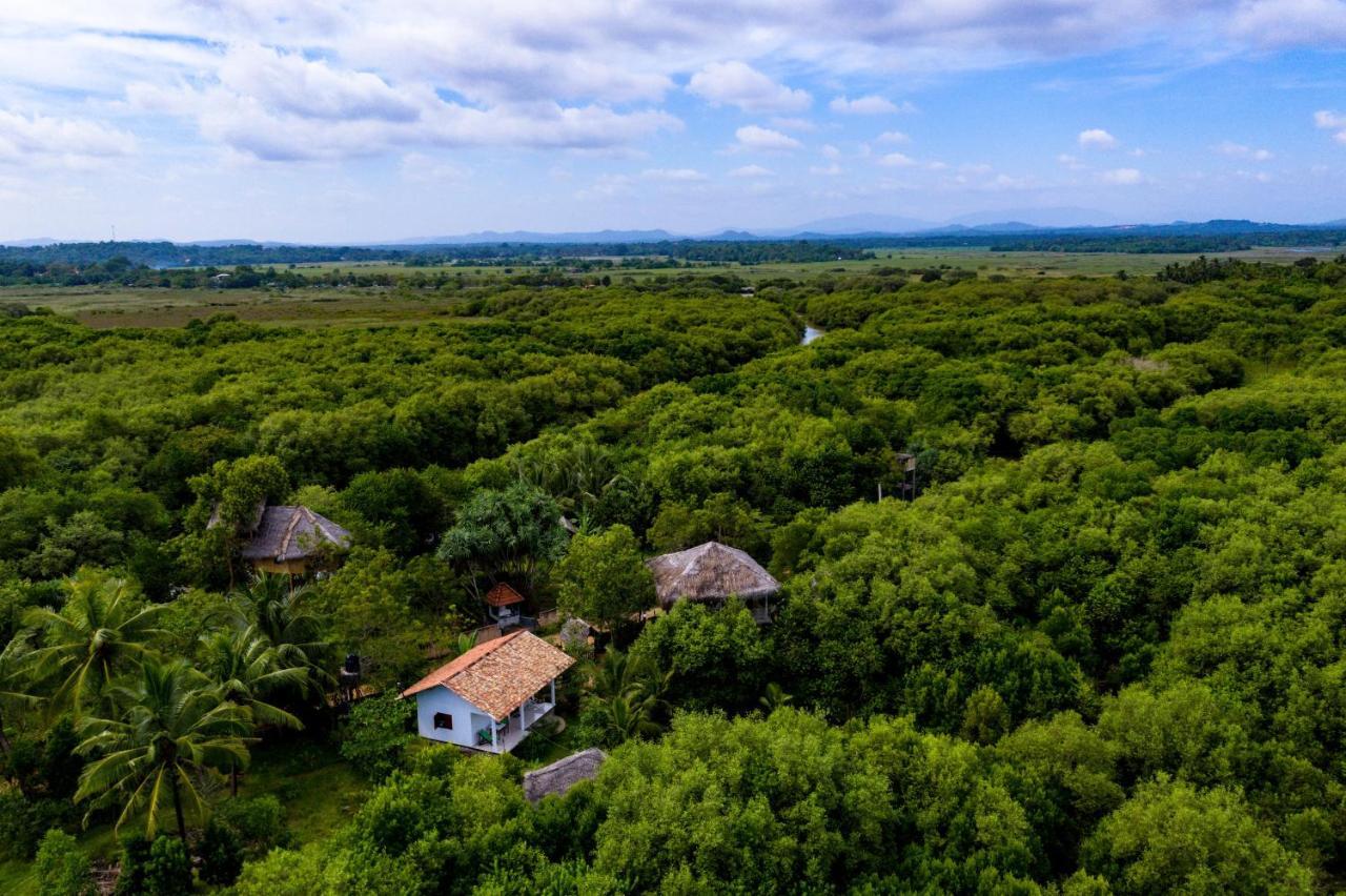 Mermaid Cabana And Tree Houses Tangalle Exterior photo