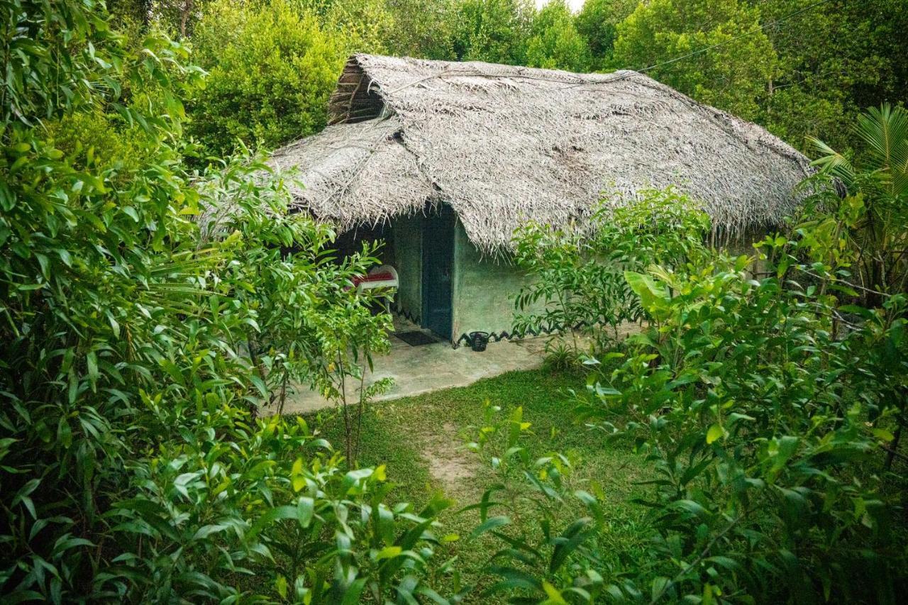 Mermaid Cabana And Tree Houses Tangalle Exterior photo
